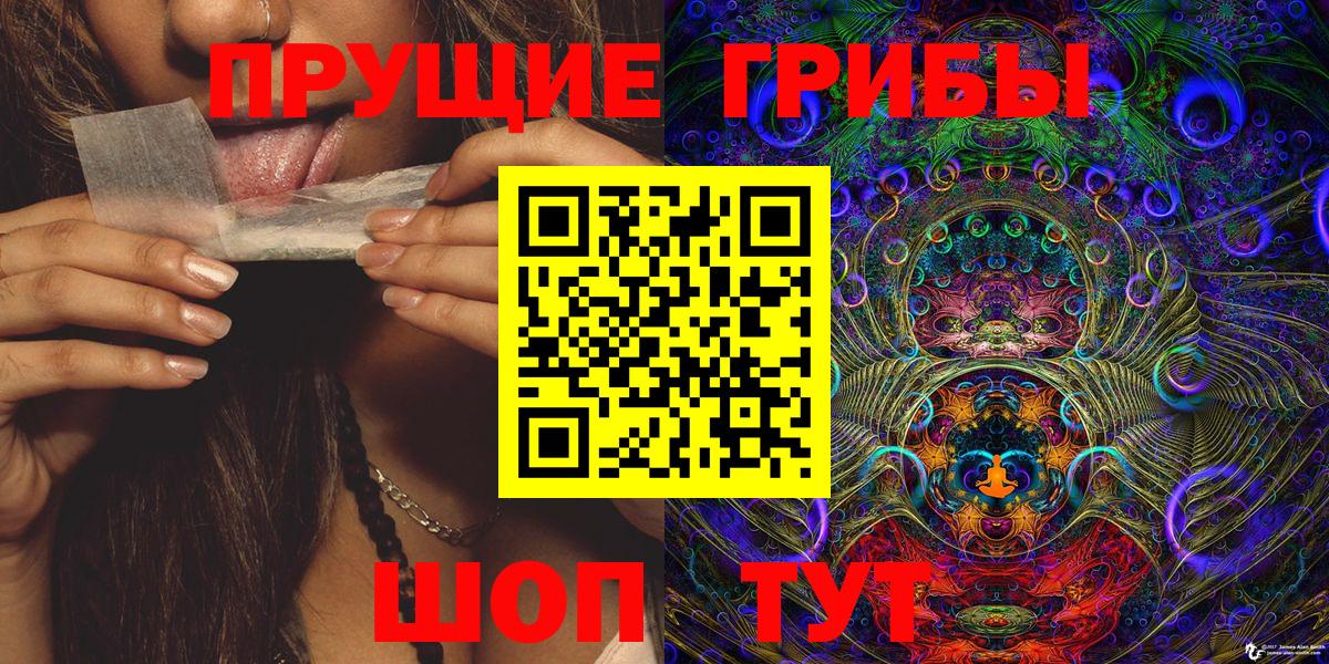 где продают наркотики  Вход с VPN  Псилоцибиновые грибы Magic Shrooms  Большой Камень  Галлюциногенные грибы ЛСД 