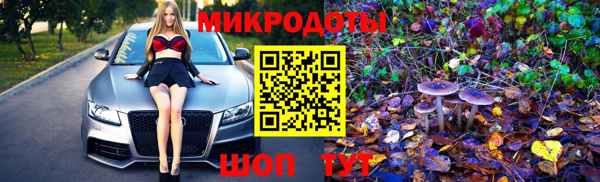 Галлюциногенные грибы мицелий Большой Камень